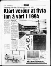 Síða 3