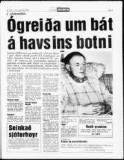 Síða 5