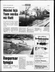 Síða 3