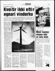 Síða 5