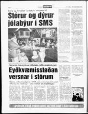 Síða 6