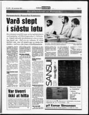 Síða 11
