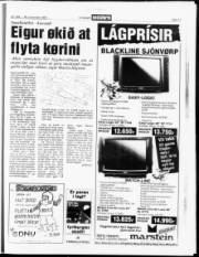 Síða 17