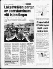 Síða 5