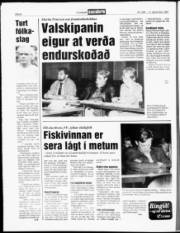 Síða 8