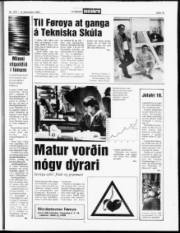 Síða 13