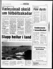 Síða 15