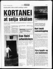 Síða 3