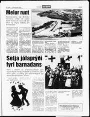 Síða 5