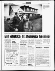 Síða 7