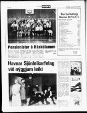 Síða 16