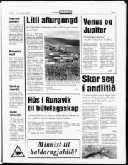 Síða 3