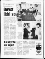 Síða 6
