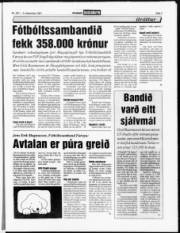 Síða 7