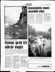 Síða 8