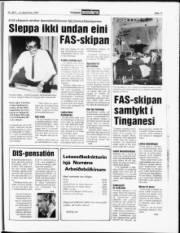 Síða 11