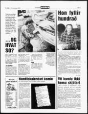 Síða 3