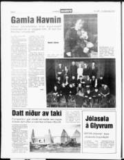 Síða 6