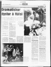 Síða 17