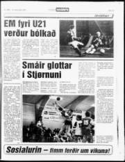 Síða 19