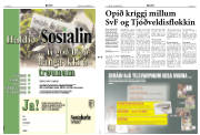Síða 2