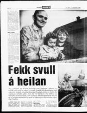 Síða 12