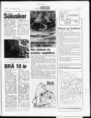 Síða 17