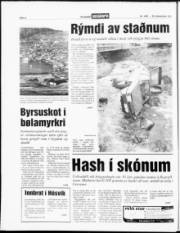 Síða 4