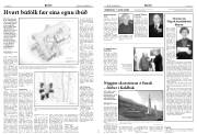 Síða 5