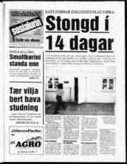 Síða 1