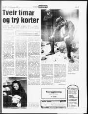 Síða 15
