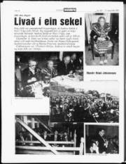 Síða 16