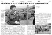 Síða 8