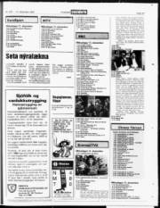 Síða 19