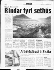 Síða 4