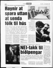Síða 8