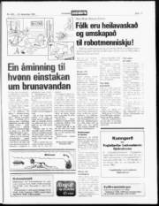 Síða 17