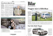 Síða 10