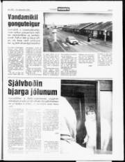 Síða 5