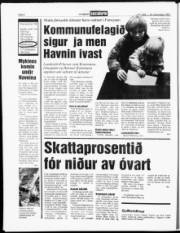 Síða 6