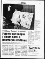 Síða 15