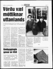 Síða 17