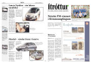 Síða 12