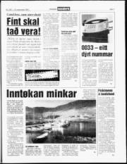 Síða 7