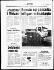 Síða 8