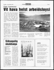 Síða 11