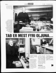 Síða 12