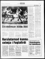 Síða 17