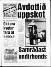 Síða 1