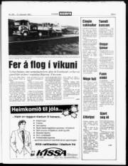 Síða 3